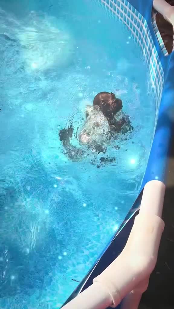 Mixed Breed dogs for sale: Lovely little Denzel - Video 4