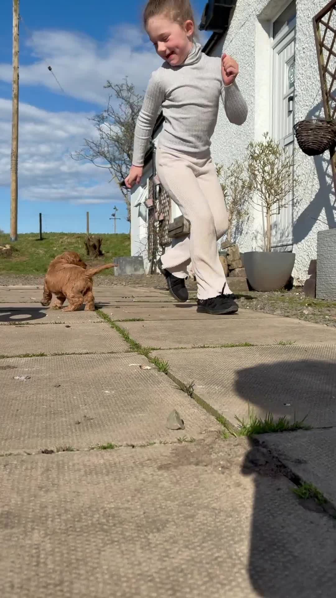 Cockapoo dogs for sale: 💜 1 boy left F1 Cockapoo puppies 💜 - Video 1