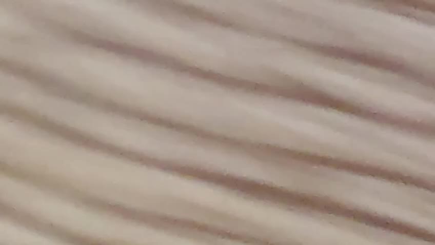 Great Dane dogs for sale: Stunning pure bred Great Dane puppies in St. Ives - Video 1