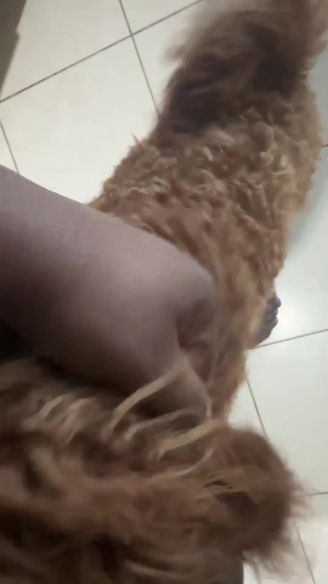 Cavapoo dogs for sale: Rehoming our cavapoo - Video 1