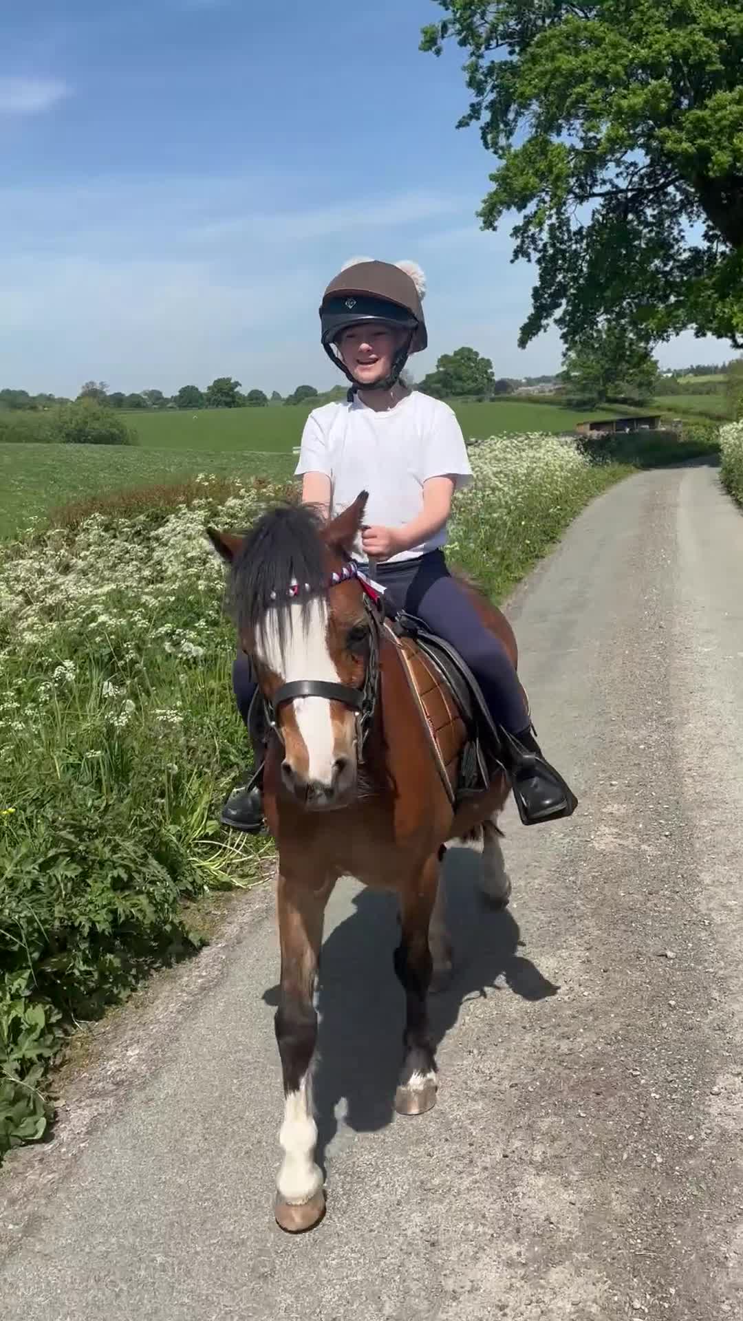Welsh Section A horses for sale: Kids pony  - Video 2