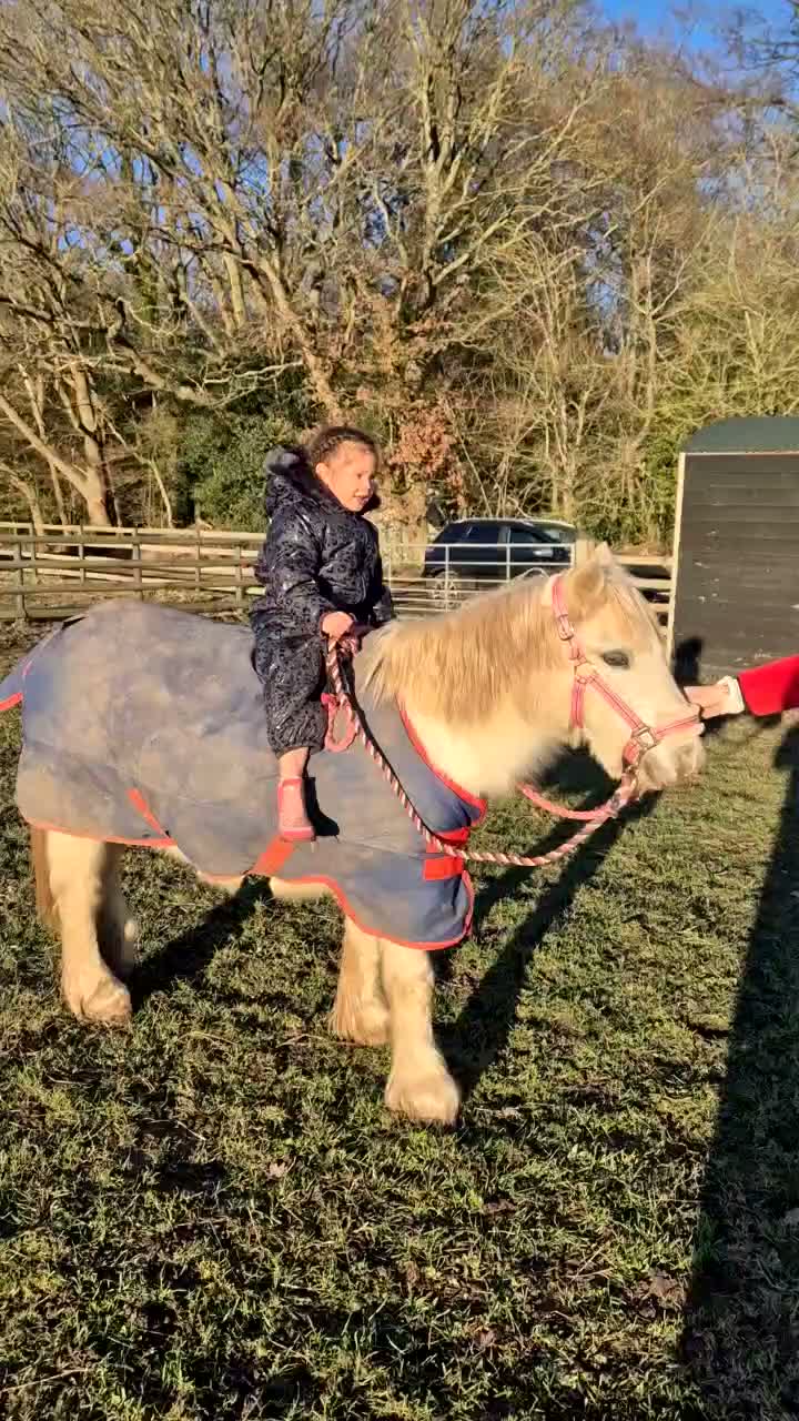 Welsh Section A horses for sale: Sweet 11.1 Mare 13 years young  - Video 1