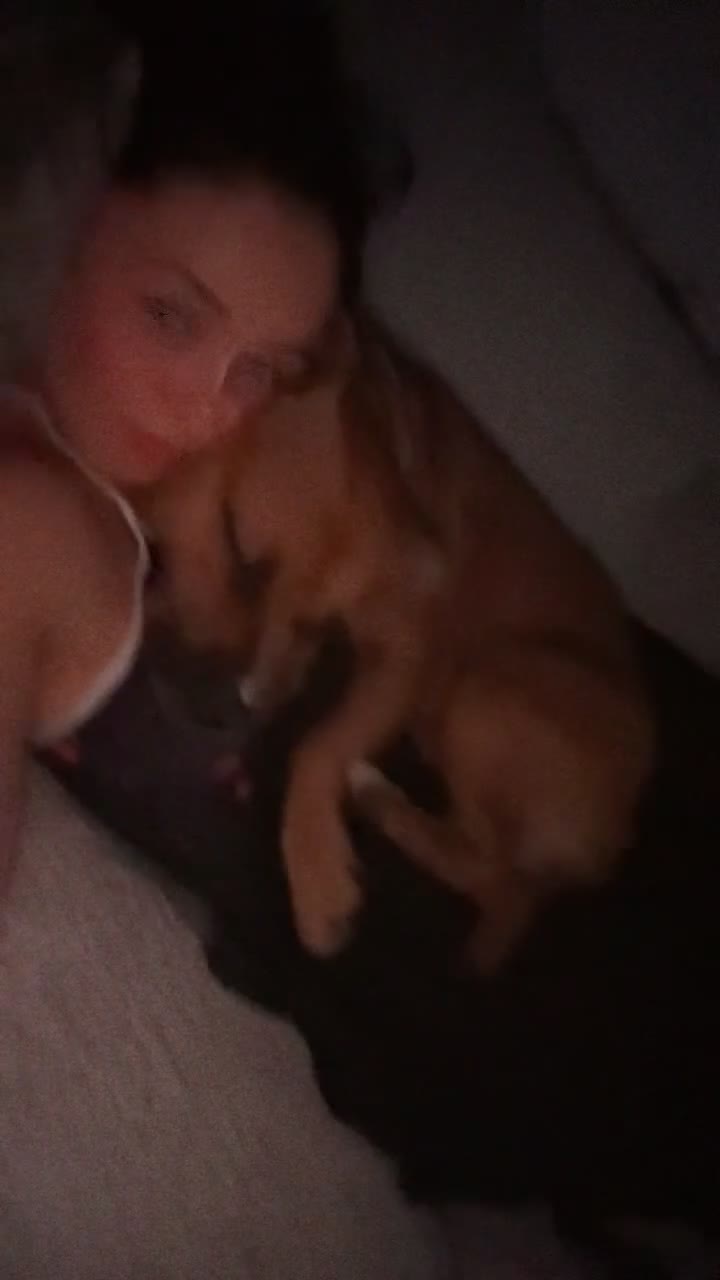 Mixed Breed dogs for sale: Scarlett  - Video 1