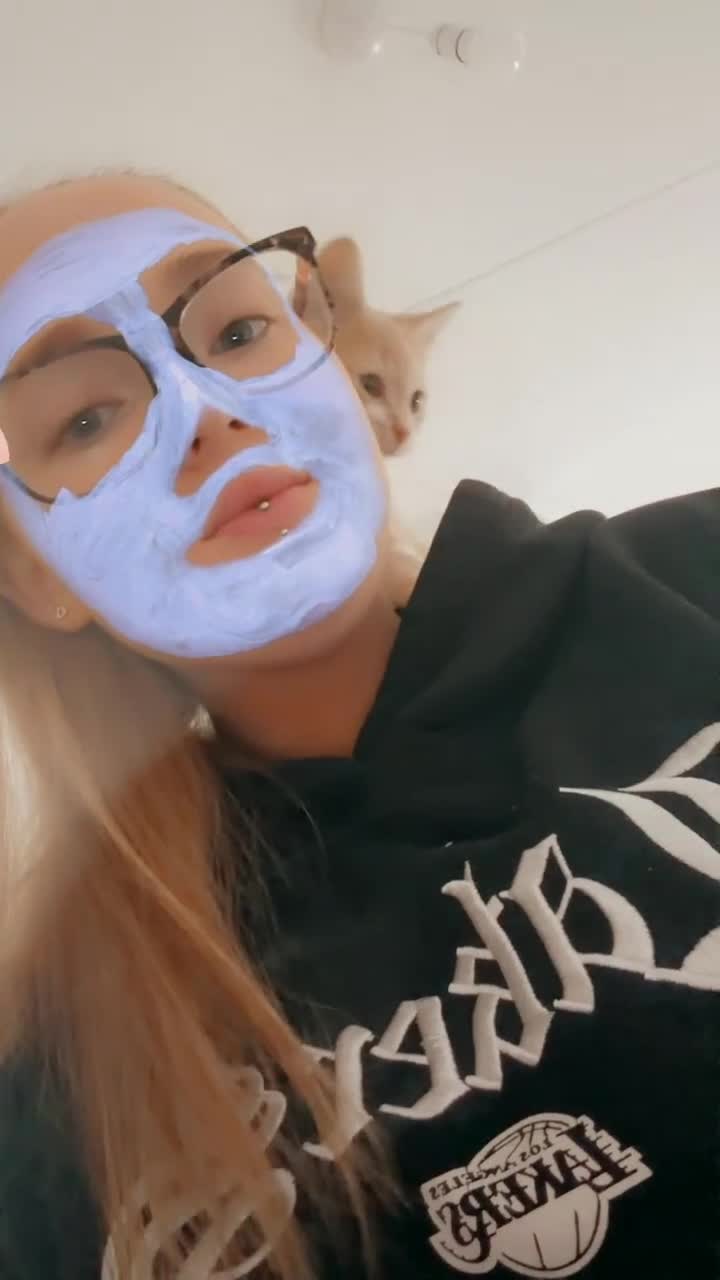 Mixed Breed cats for sale: 13 week ginger male kitten  in Mansfield - Video 2