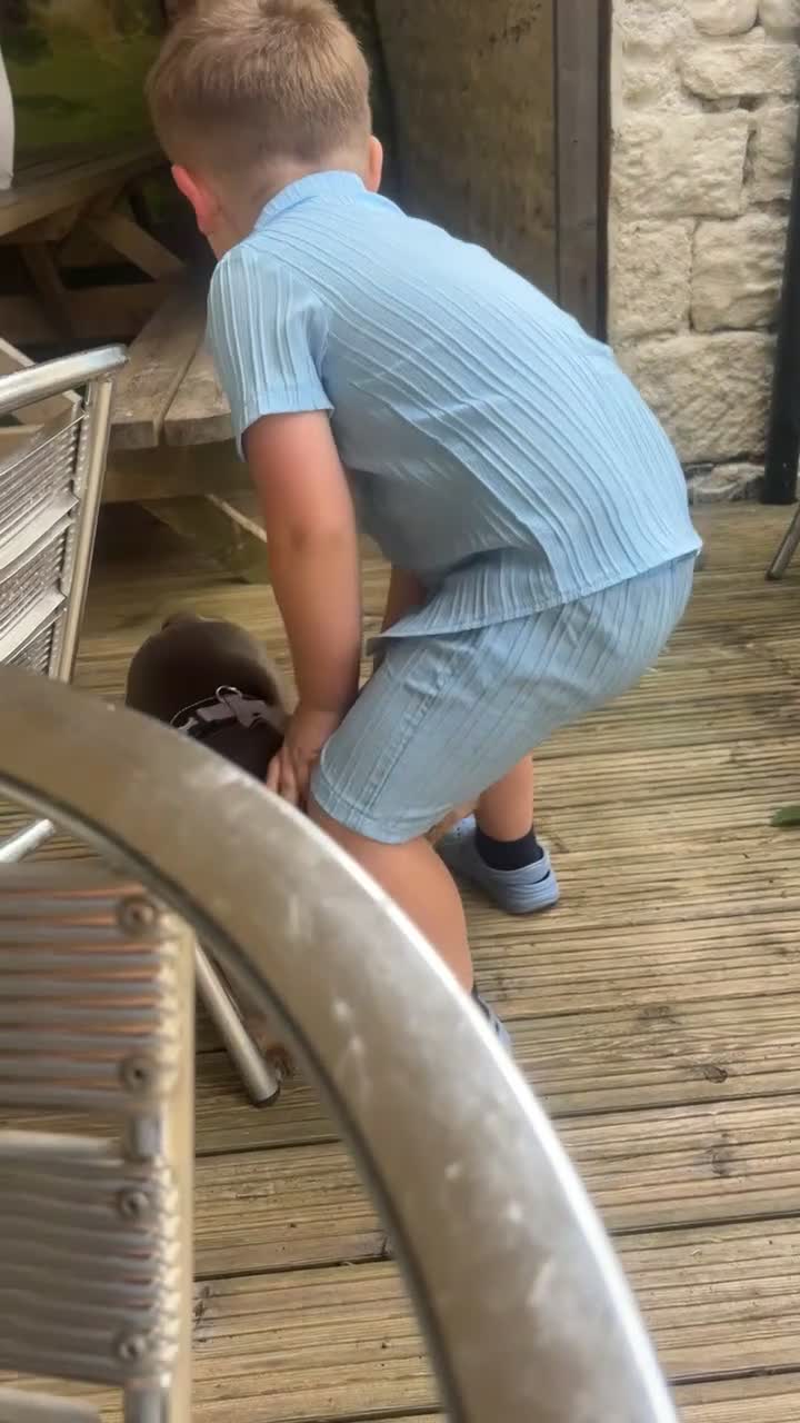 English Bulldog dogs for sale: Lilac and tan KC registered English bulldog in Harrogate - Video 1