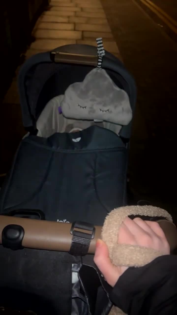 French Bulldog dogs for sale: 5 month old French Bulldog female (blue) - Video 2