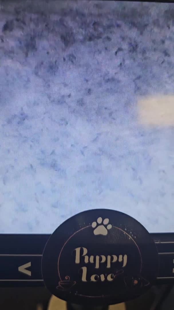 English Bulldog dogs for stud: PROUD TO PRESENT PRINCE OF ALL STORMS  in Birmingham - Video 1