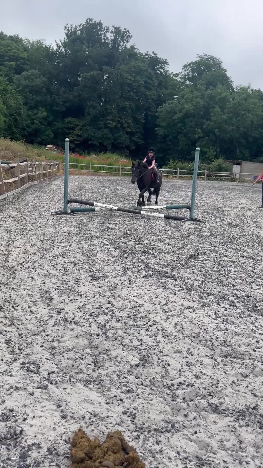Welsh Section D horses for sale: Stunning 13,3/14hands Welsh D mare in Hailsham - Video 2