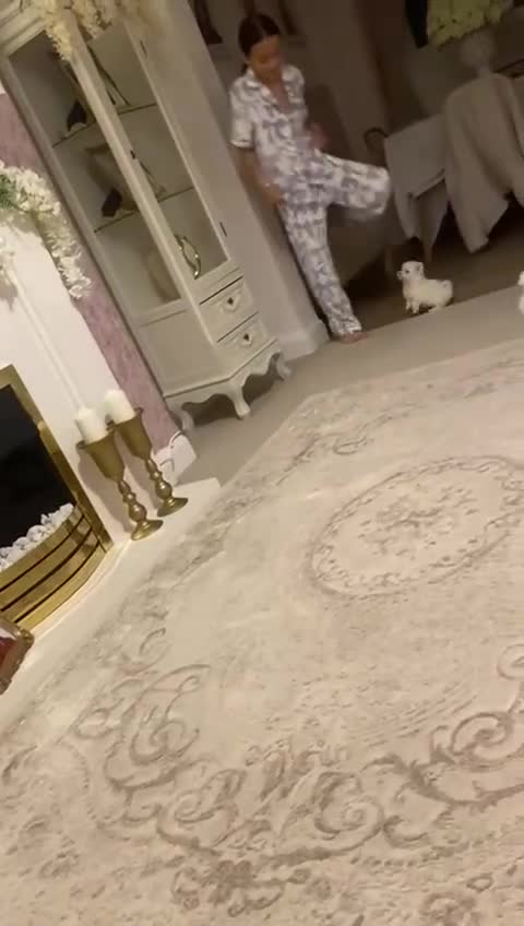 Maltipoo dogs for sale: Beautiful Blue Eyed boy Cookie Dough 🩵 - Video 1