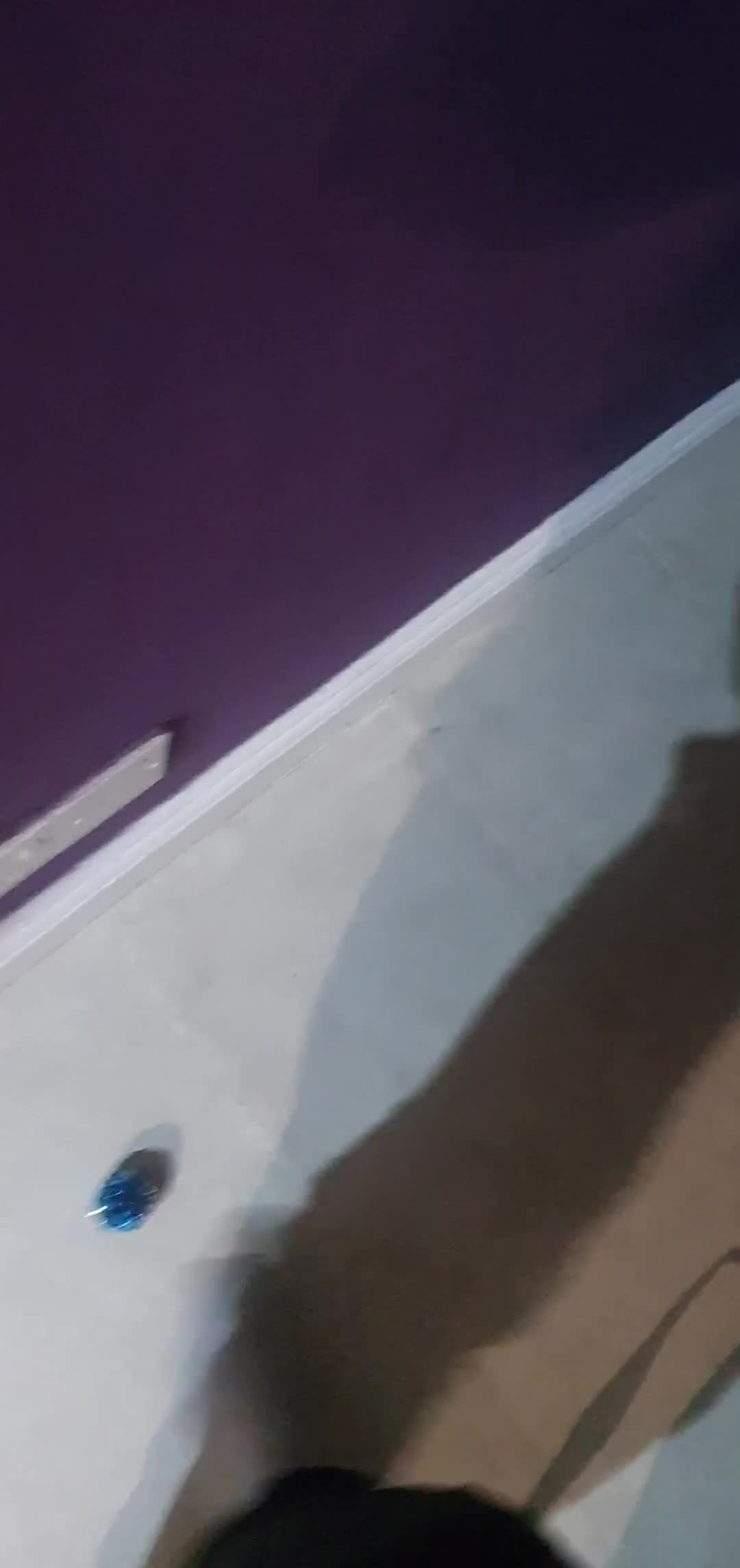 Mixed Breed cats for sale: Beautiful black cat 1 year old read description 🙏 - Video 1