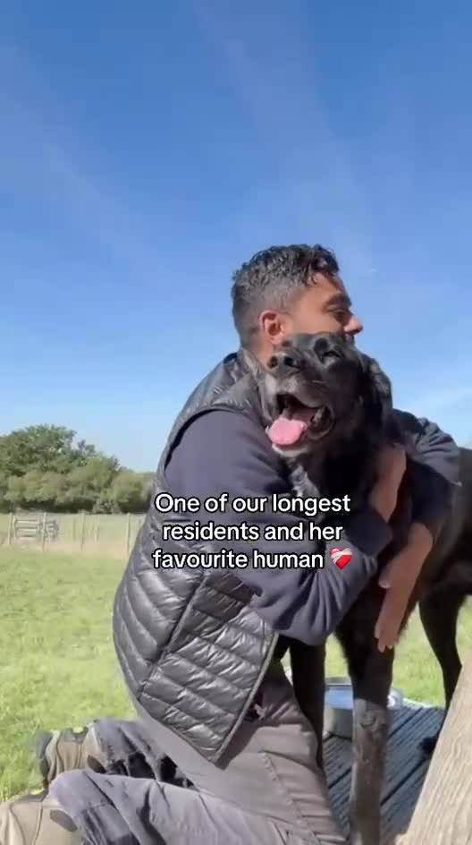 Mixed Breed dogs for adoption: Miss Roo needs to be rescued - Video 2