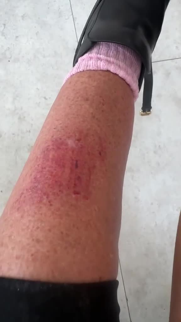 Jack Russell dogs for sale: Puppies for sale  - Video 1