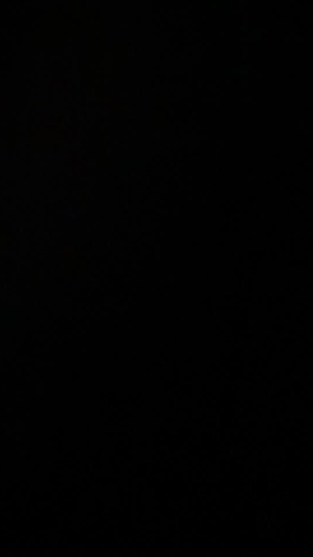 Irish Doodle dogs for sale: Irish doodle - Video 1