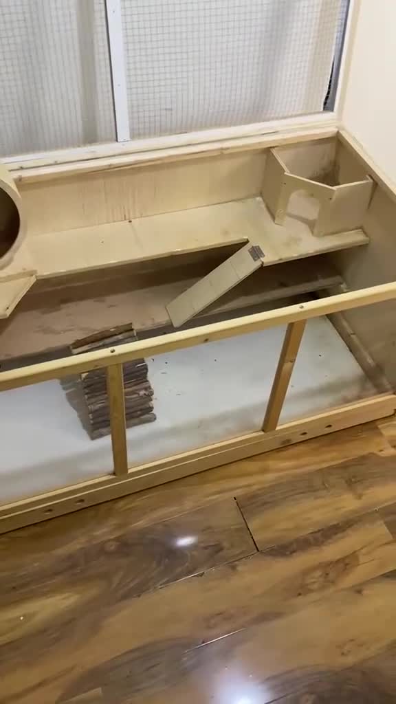 Guinea Pig rodents for sale: hamster/ small animals 3-tier cage  - Video 1