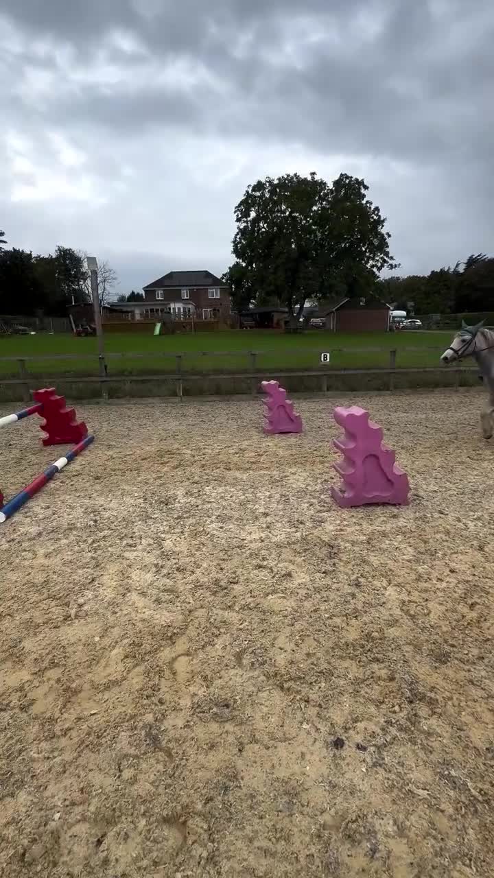 Other Breed horses for sale: ☀️April☀️13.1hh, rising 6 year old for sale! - Video 2