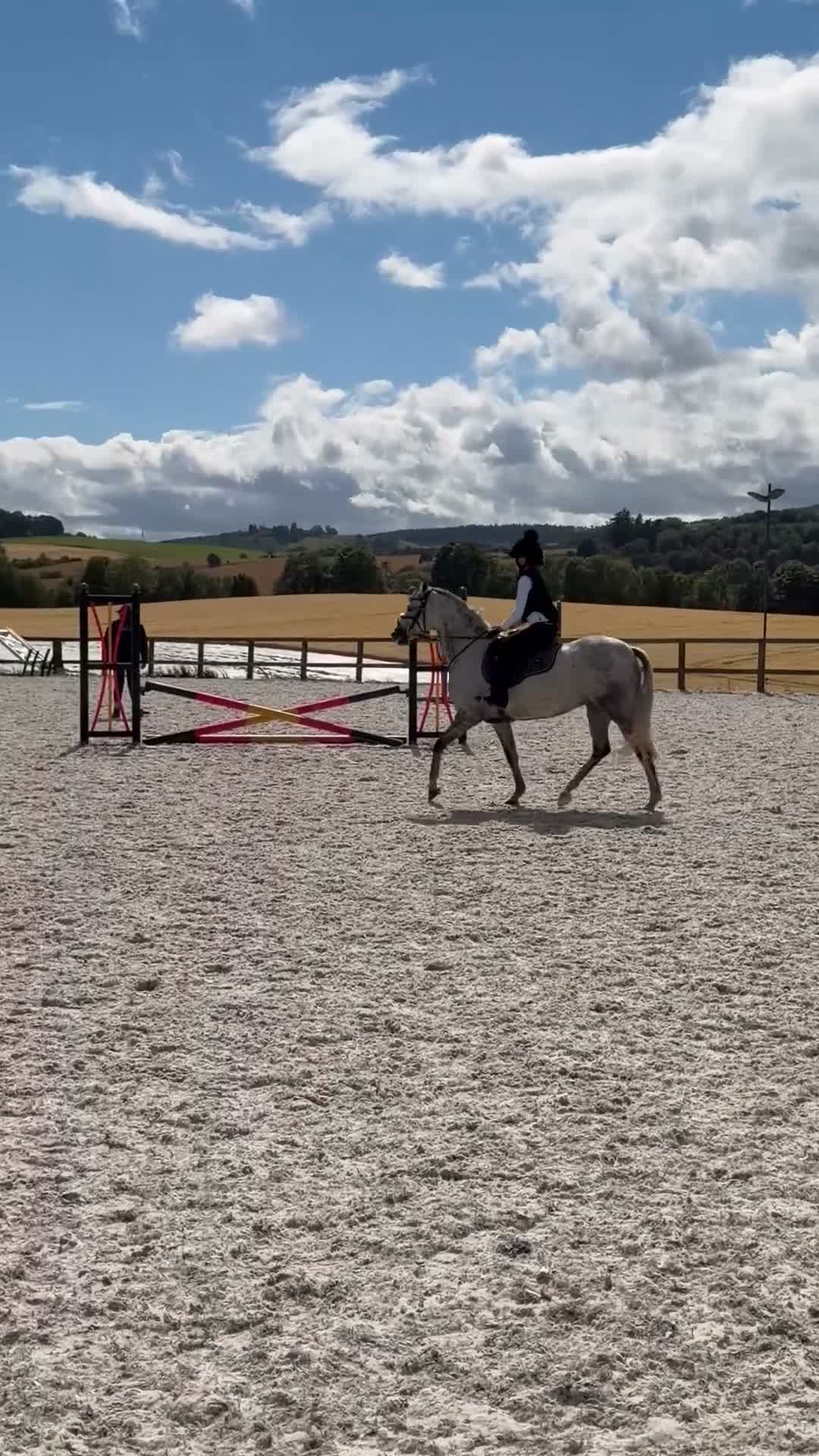 Welsh Section B horses for sale:  Macey - Marcosie Marceline 🤍 - Video 1