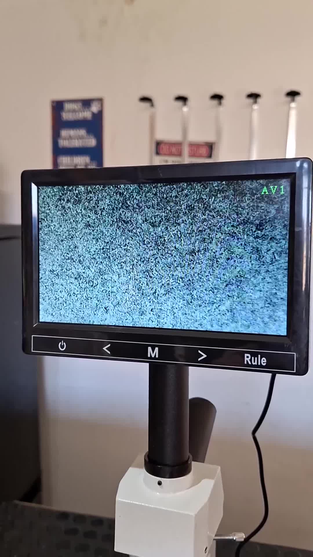 Boxer dogs for stud: PROVEN 0 HEART SCORE BOBTAIL STUD - Video 2