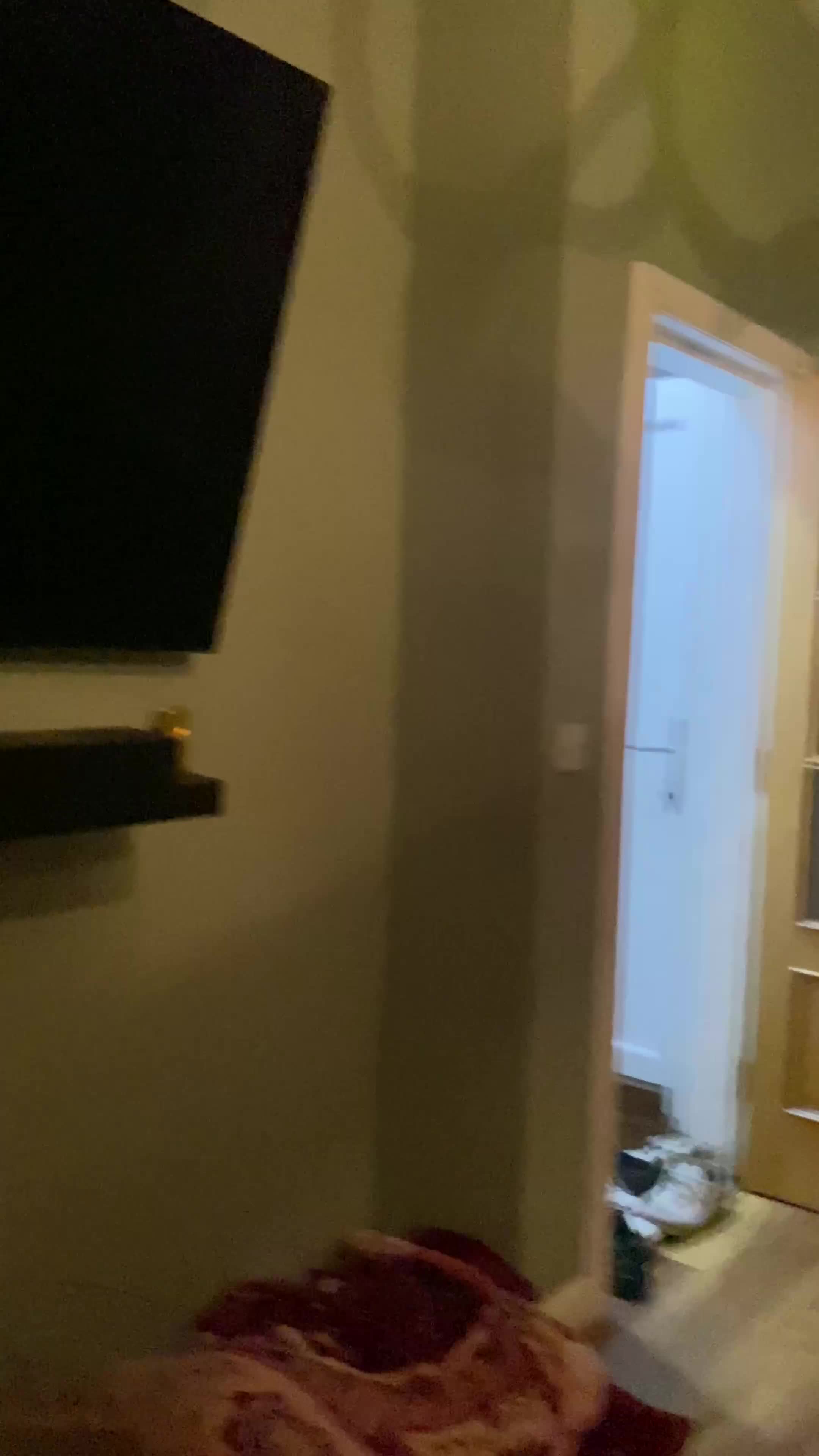 Parrots birds for sale: Hand Reared Galah Cockatoo - Video 1