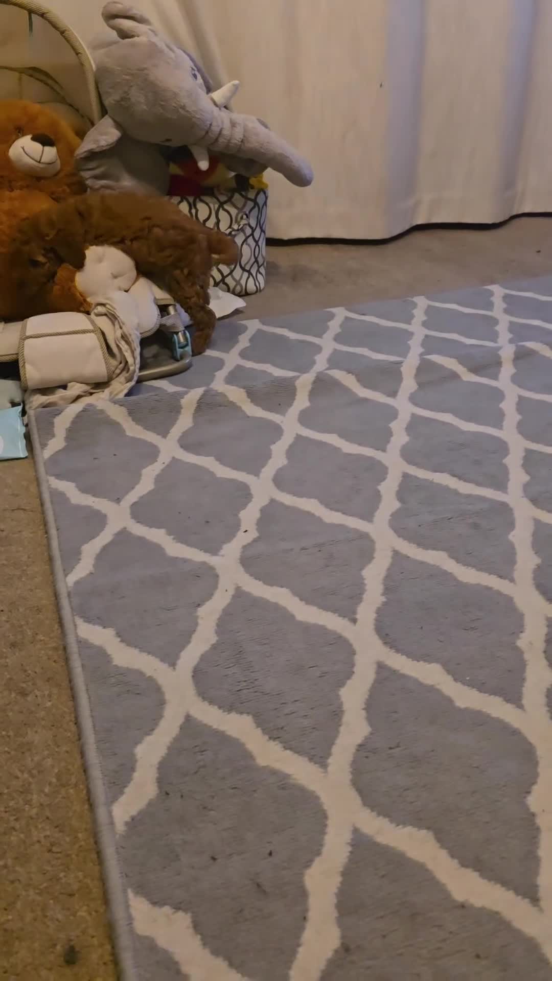 Labradoodle dogs for sale:  Last one left Ready now price reduced  - Video 1