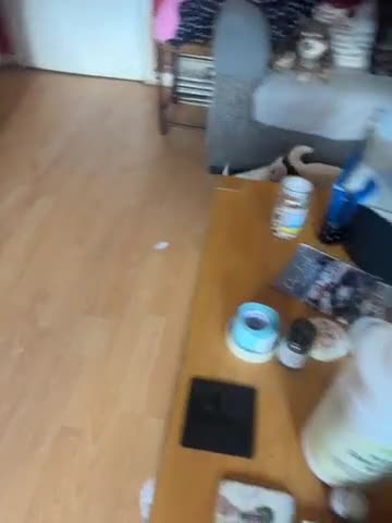 Chihuahua dogs for sale: Beautiful white chihuahua boys  - Video 2