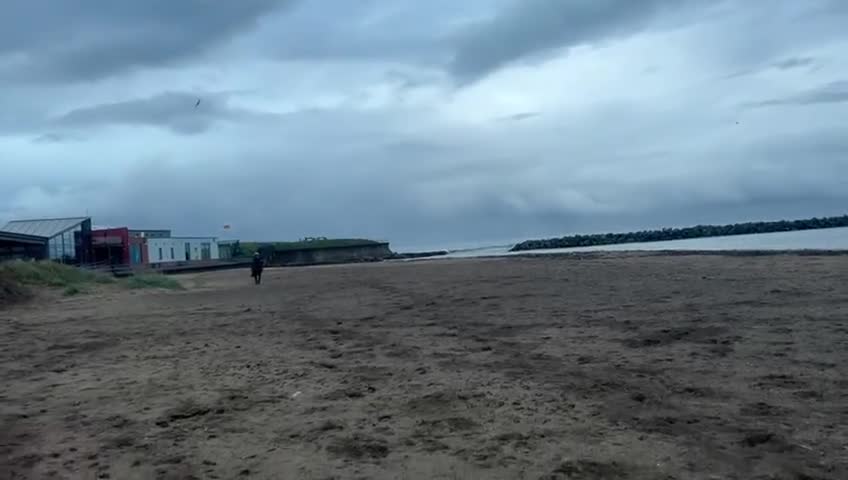 Riding pony horses for sale: 12.2hh All rounder pony  - Video 1