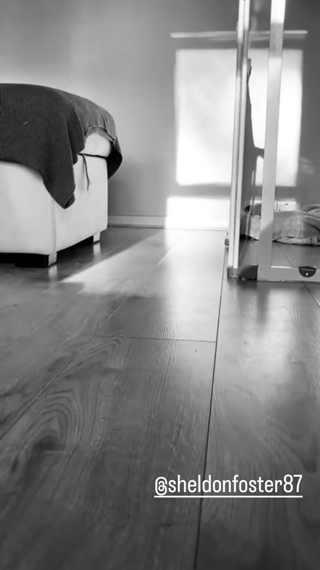 Mixed Breed dogs for sale: American bulldog x bullmastiff puppies - Video 4