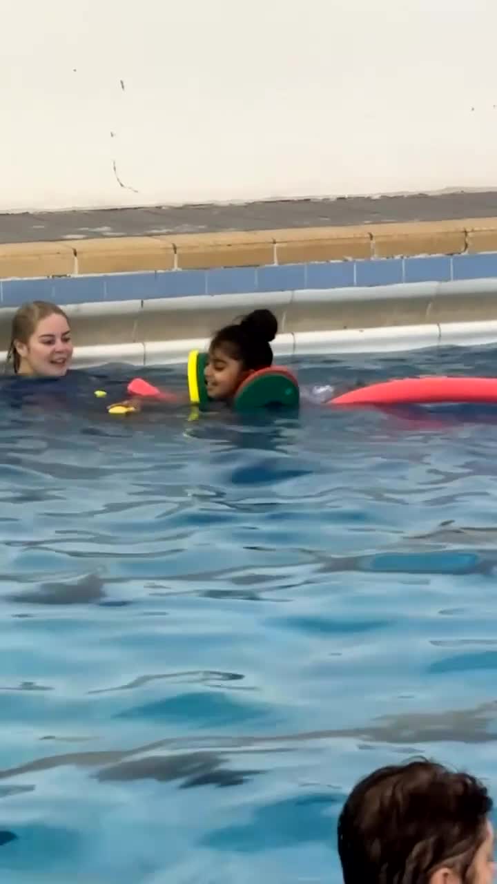 Scottish Fold cats for sale: British shorthair x Scottish fold kittens - Video 1