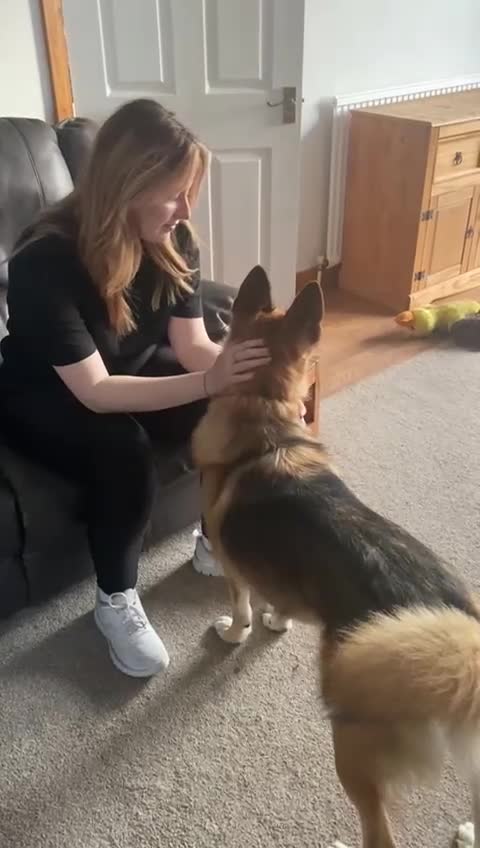 Mixed Breed dogs for adoption: ❤️🐶 LEIA- amazing 5 year-old GSD girl❤️🐶  - Video 4