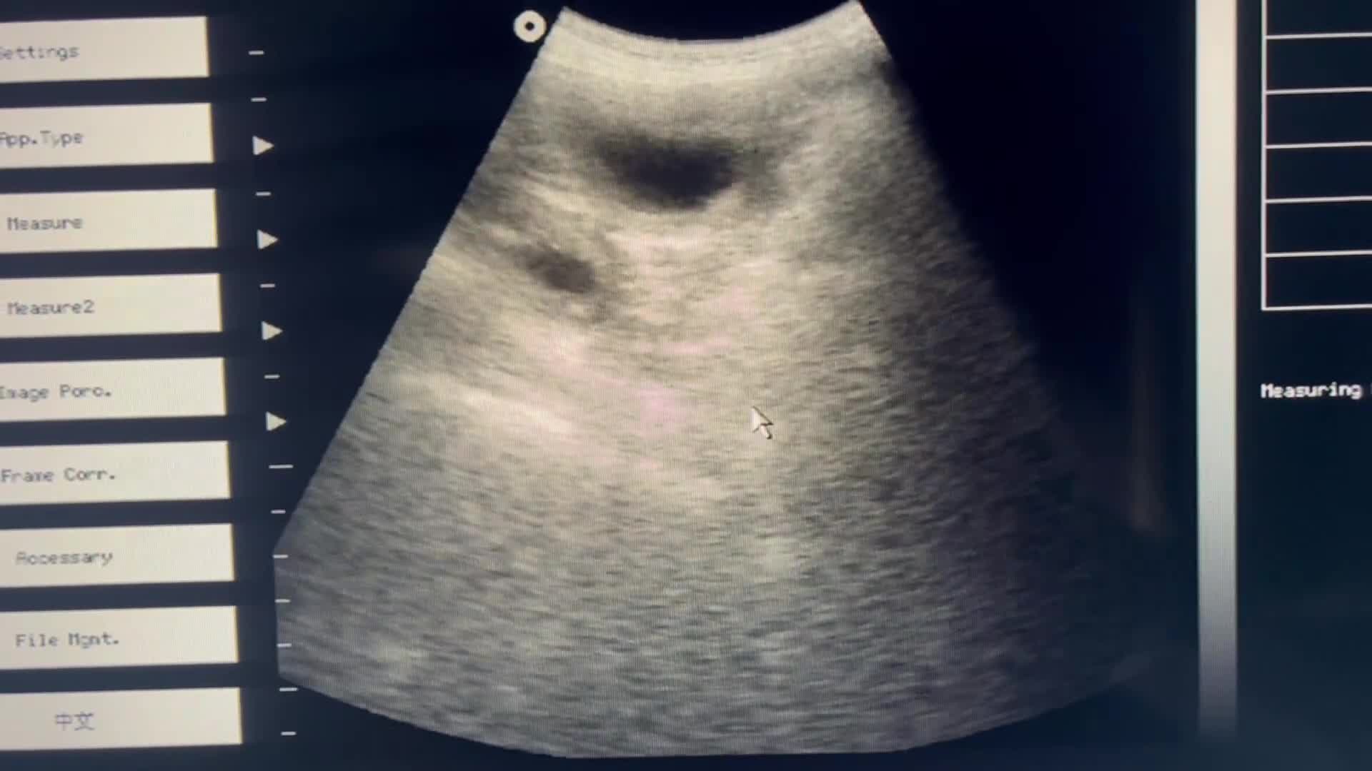 Cavalier King Charles Spaniel dogs for sale: DUE 23rd DEC - KC DNA HEART EYE CHAMPION LINES - Video 1