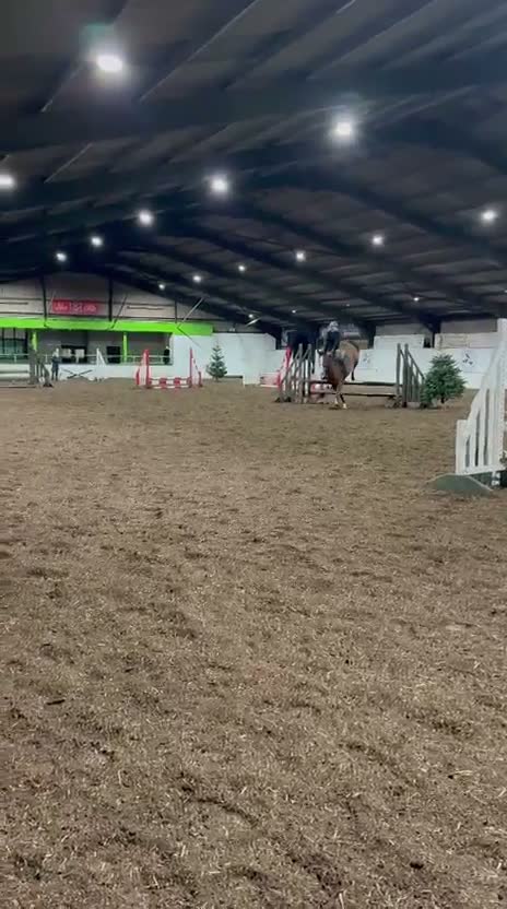 Irish Sports horses for sale: 16.1h 6 year old mare  in Chorley - Video 1