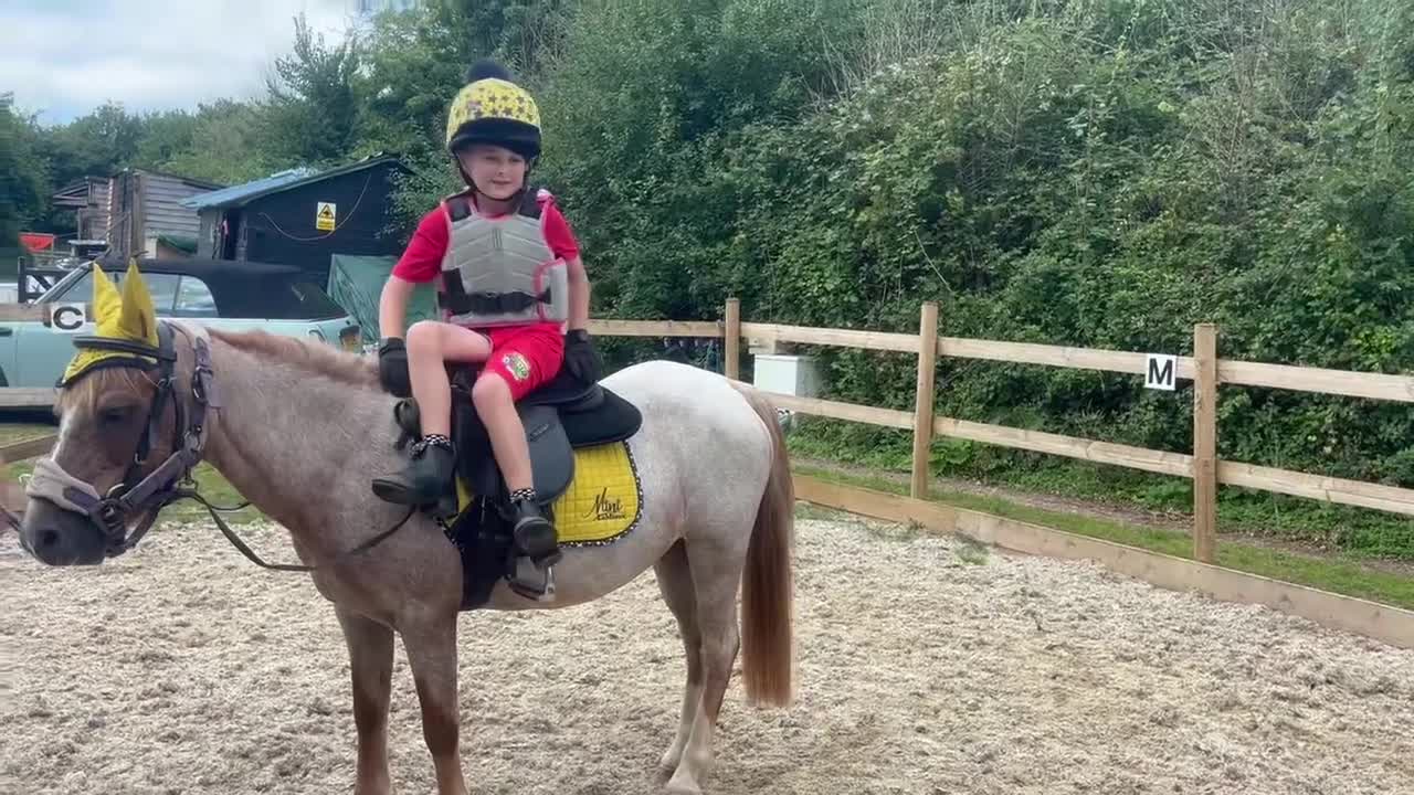 Welsh Section A horses for sale: Campion/ first lead rein section A - Video 1