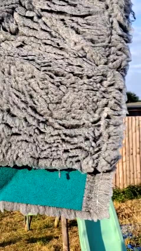 German Shepherd dogs for sale: DDR CZECH GERMAN 🇨🇿 straight back working GSD - Video 1