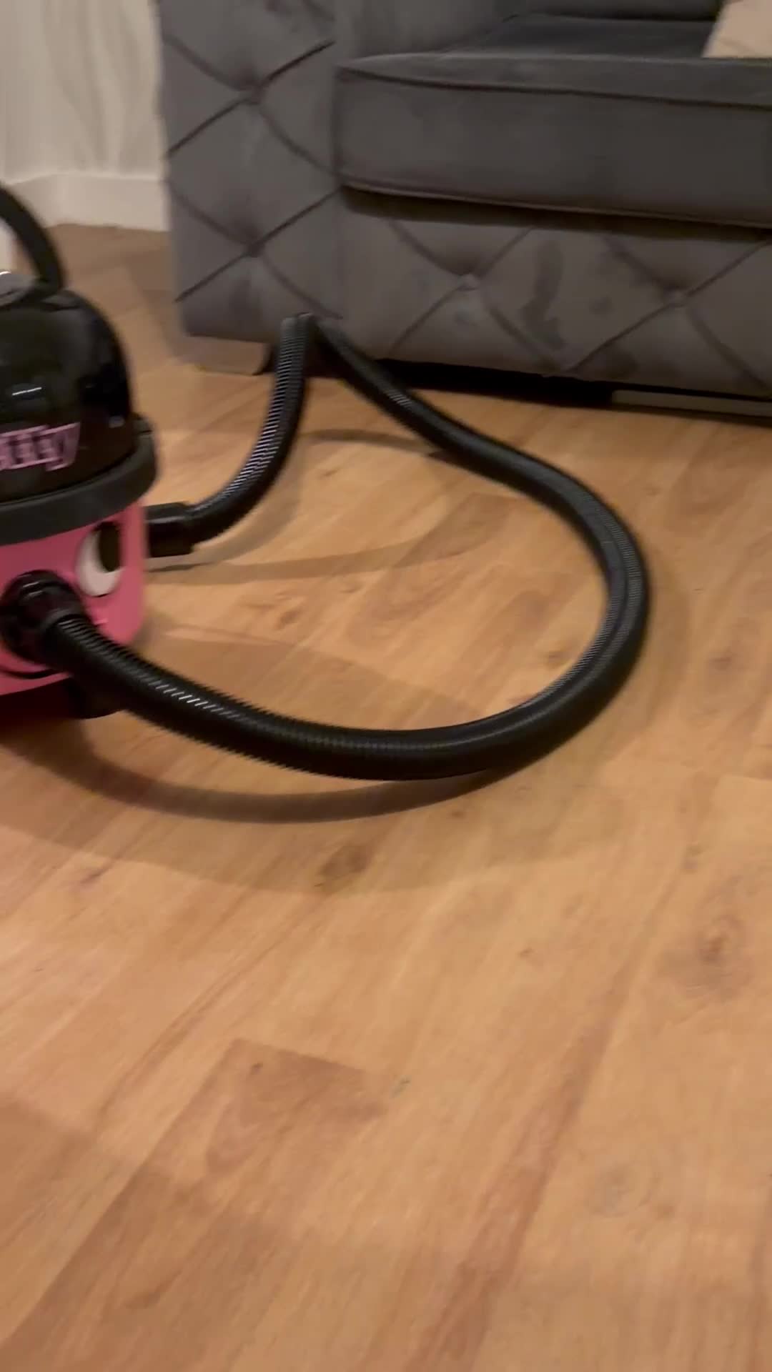 Yorkshire Terrier dogs for sale: 🌸 Stunning Yorkshire terrier puppies available 🌸 - Video 1