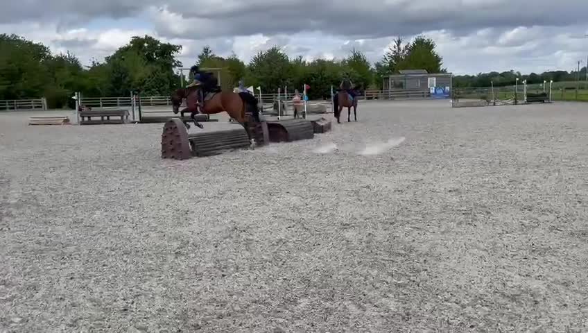 English Thoroughbred horses for sale: 16hh bay mare in Stratford-upon-Avon - Video 1