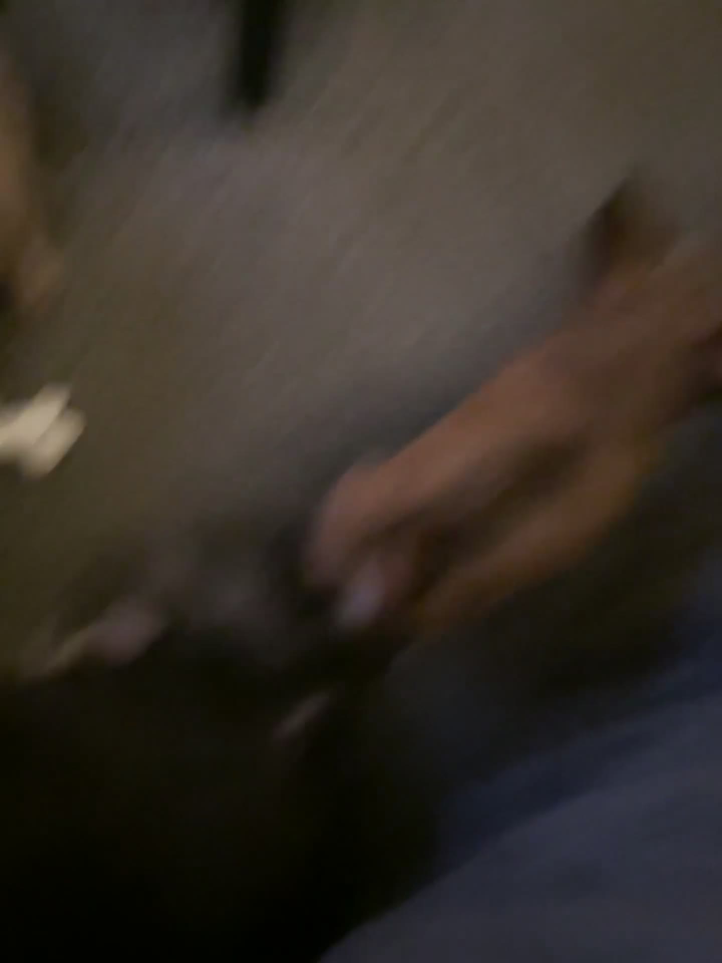 Chihuahua dogs for sale: KC Registered Chihuahua puppies available  - Video 1