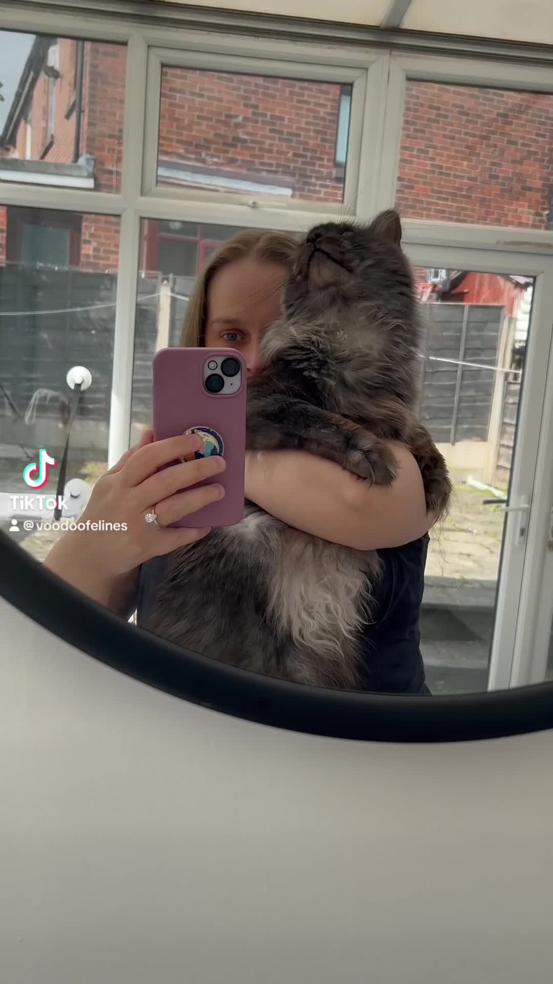 Maine Coon cats for stud: Proven GCCF & TICA Black Smoke stud in Bolton - Video 1