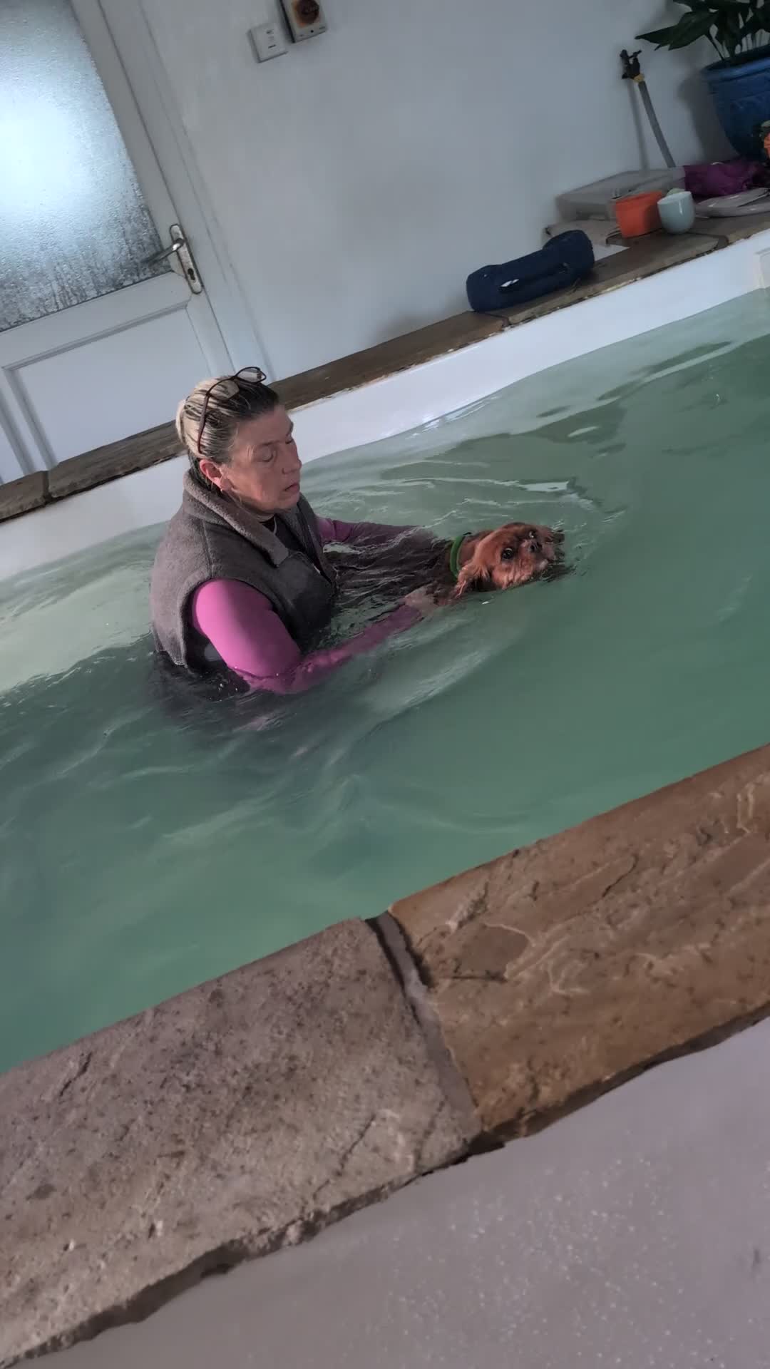 Cavalier King Charles Spaniel dogs for sale: Most loveliest caring, Female CKC Spaniel - Video 2