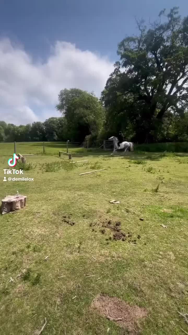 Other Breed horses for sale: ☀️April☀️13.1hh, rising 6 year old for sale! - Video 1