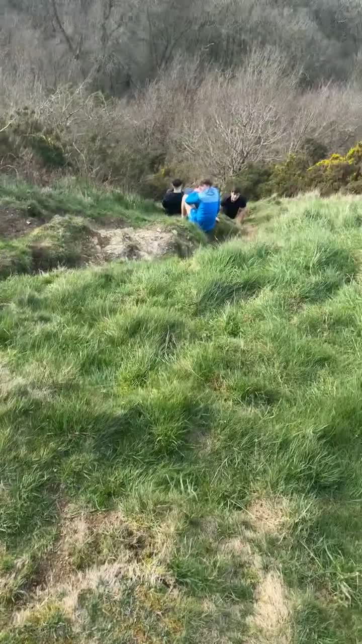 Cockapoo dogs for stud: Male Cockapoo Stud - experienced  in Hartlepool - Video 2