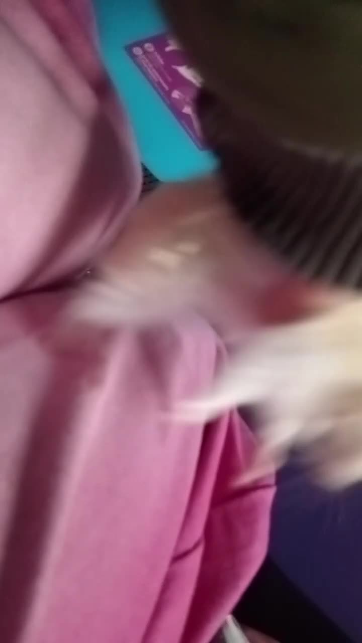 Hamster rodents for sale: Hi this is beige she is probs a adult now - Video 1