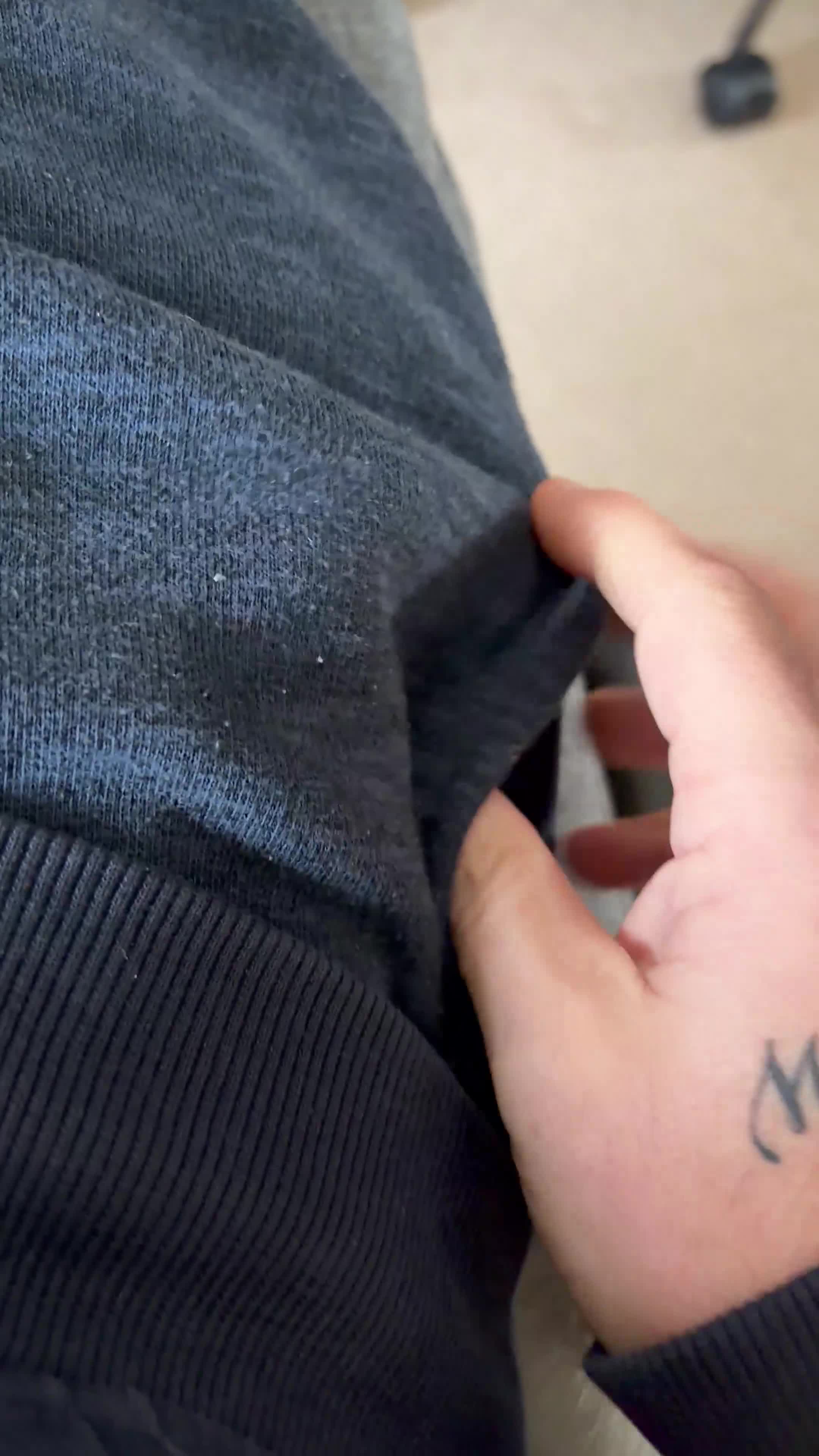 Rat rodents for sale: 2 male rats 5 months old - Video 1