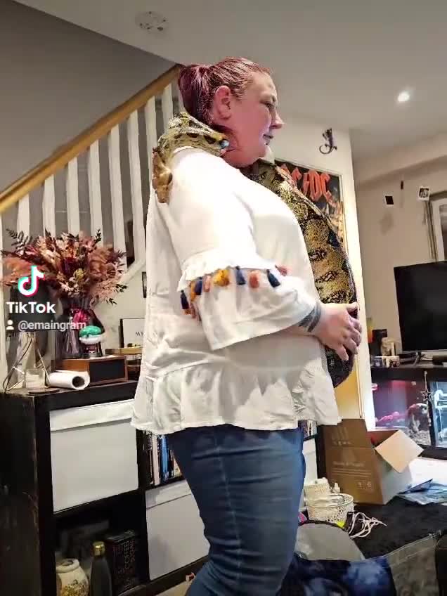 Boa Snake reptiles for sale: Female boa approx 8yo.  - Video 1