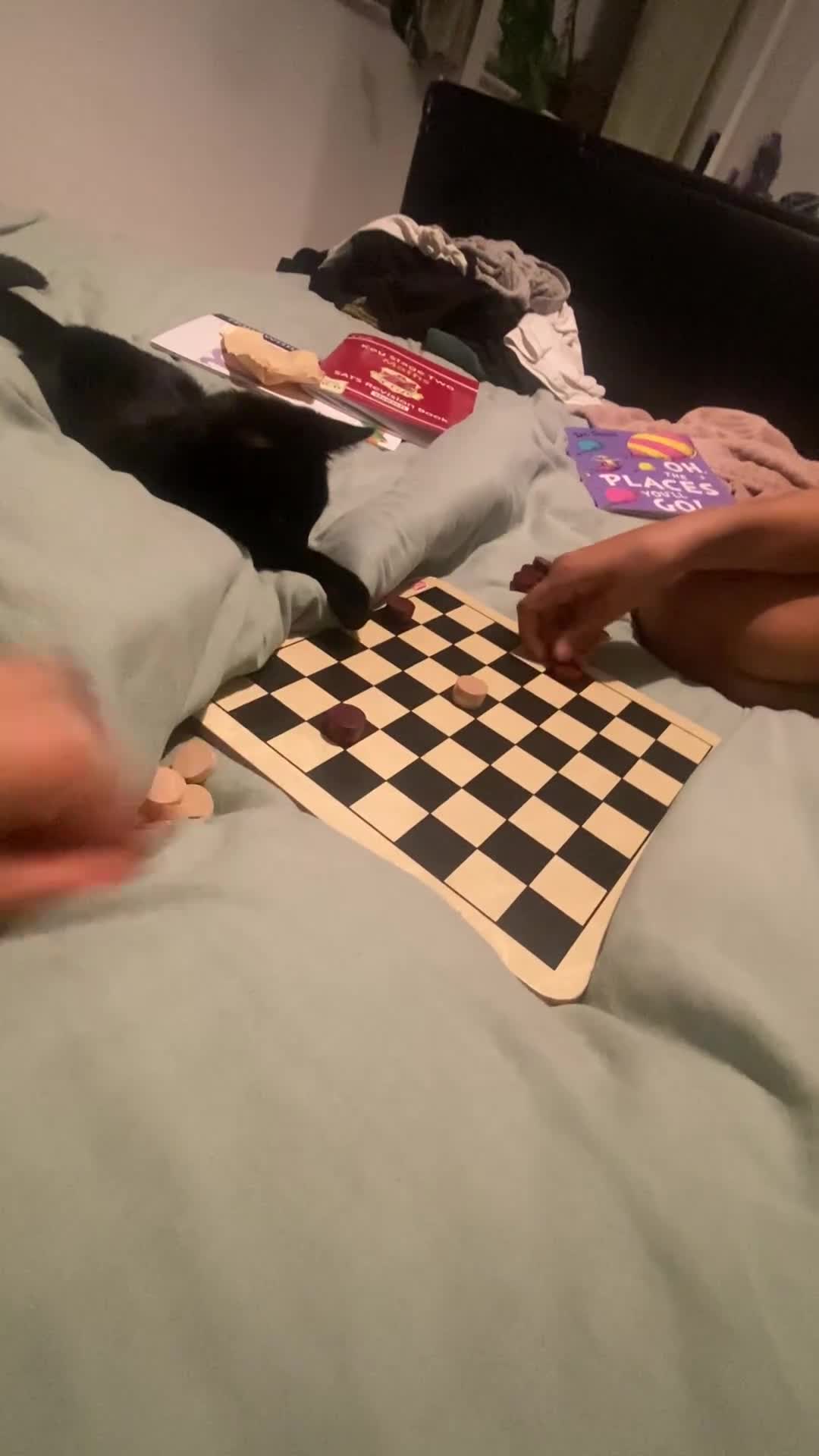 British Shorthair cats for sale: Black kitten looking for forever home.  - Video 1