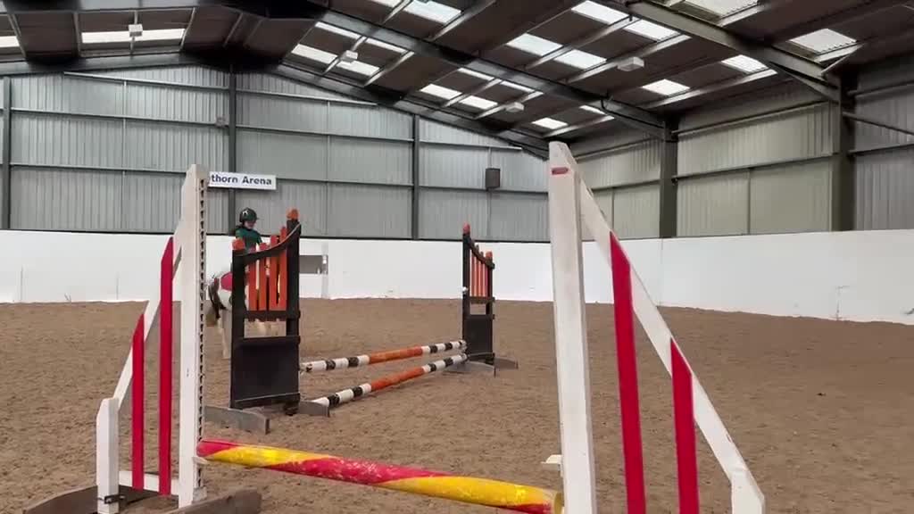 Welsh Section C horses for sale: 12.2 Family/PC Pony in Stowmarket - Video 2