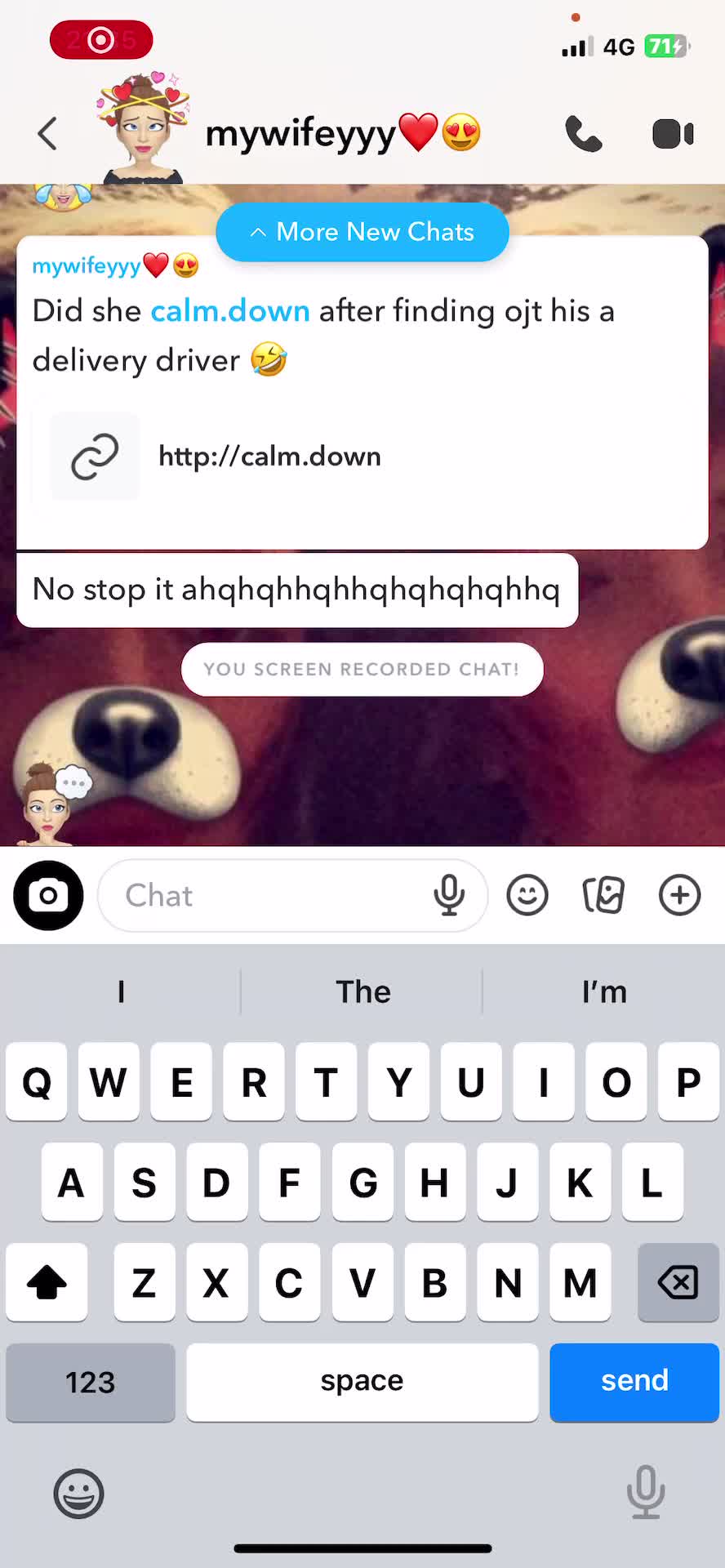 Mixed Breed dogs for sale: 4 pups - Video 3