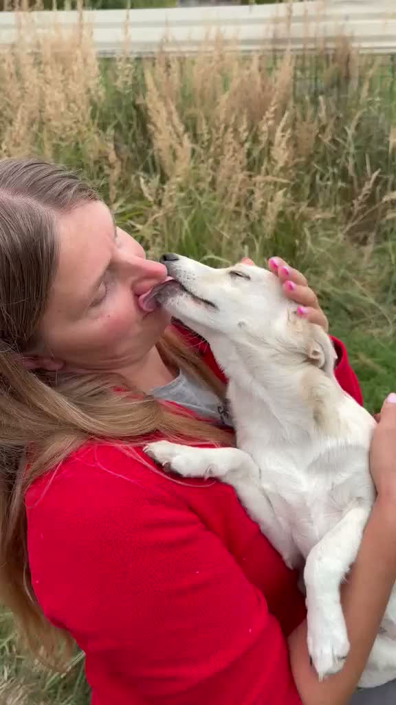 Mixed Breed dogs for adoption: ❤️ SUMMER❤️ – YOUR CHANCE TO HAVE SUMMER FOREVER - Video 3