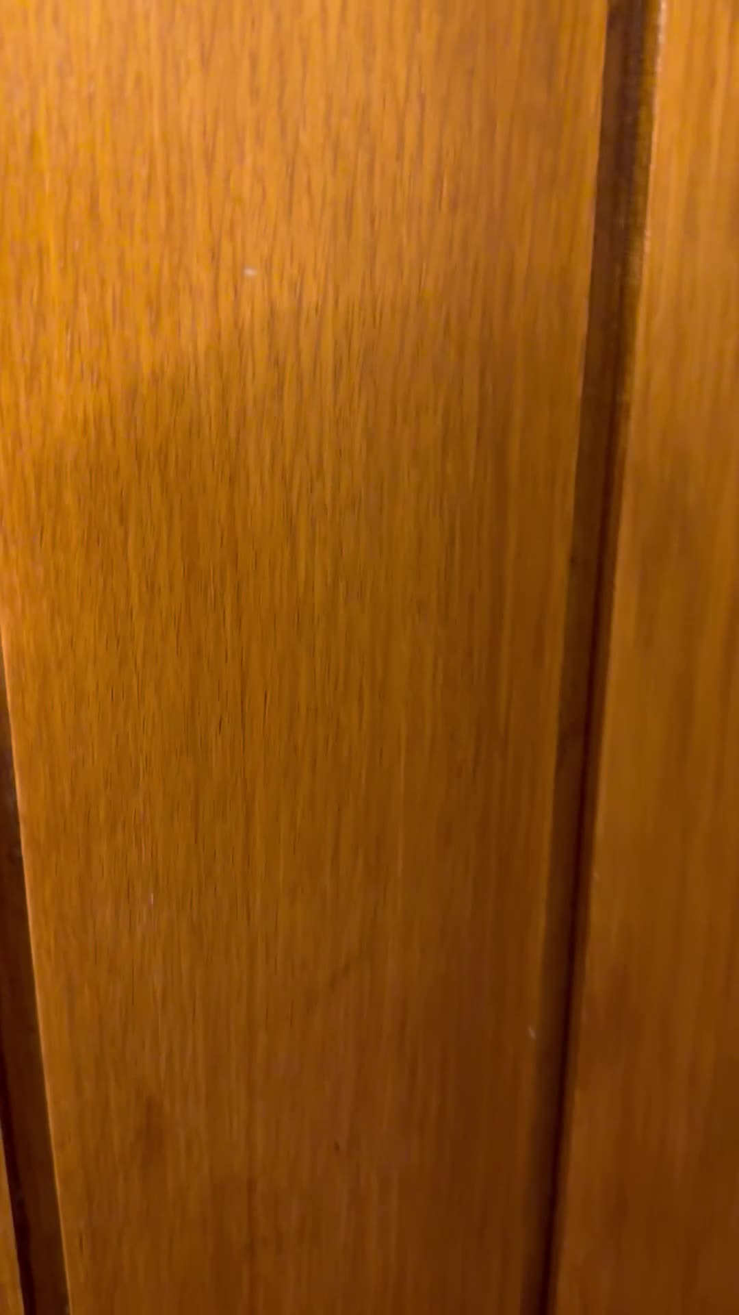 Bengal cats for sale: Snow Bengal Kittens, TICA Registered Pet only! - Video 4