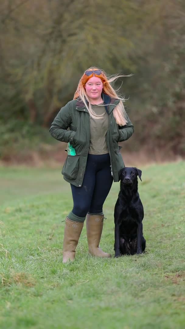 Labrador Retriever dogs for stud: FTCH sired superb lines absolute gent  in Droitwich - Video 1