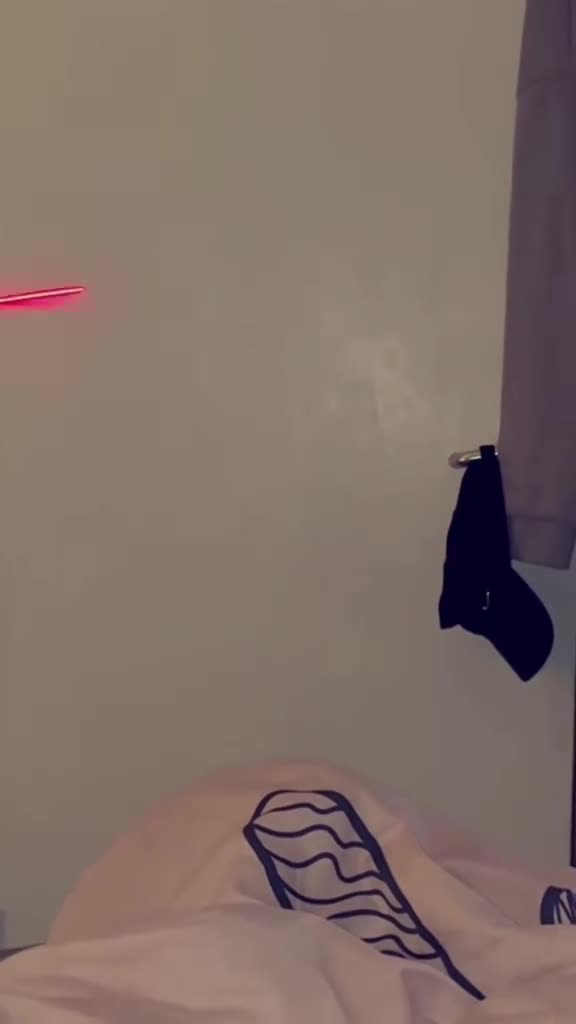 Mixed Breed cats for sale: 2 female cats for sale (together) - Video 2