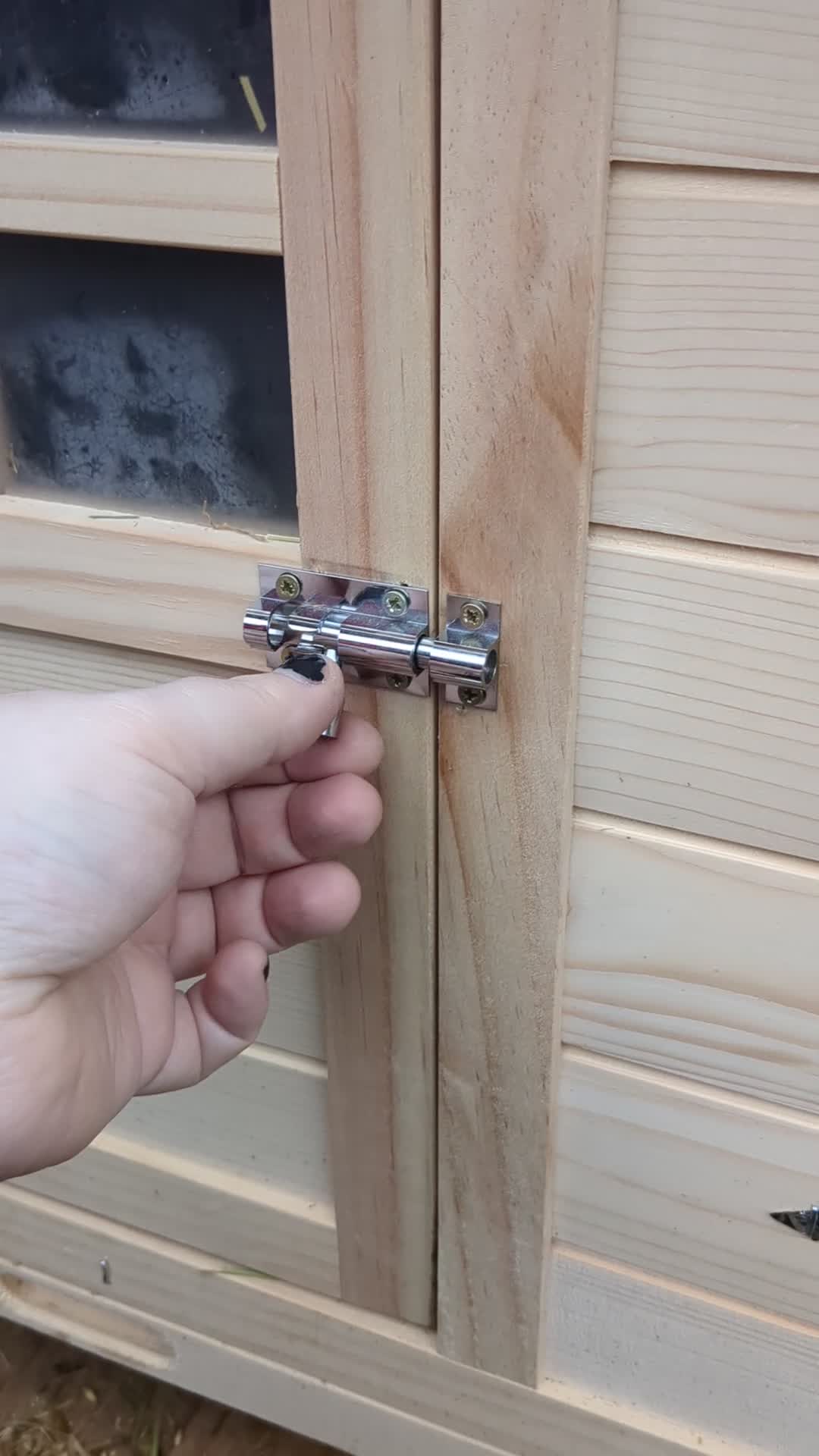 New Zealand rabbits for sale: New Zealand white/Flemish giant babies for sale - Video 2